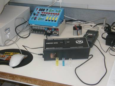 ensembl1.jpg