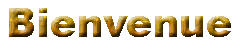 accueil-bienvenue.gif